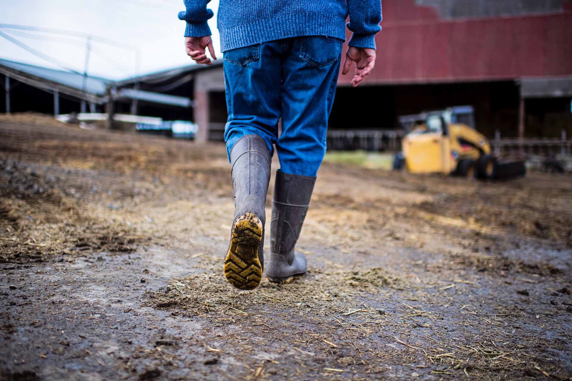 albert straus walking through farm wearing boots