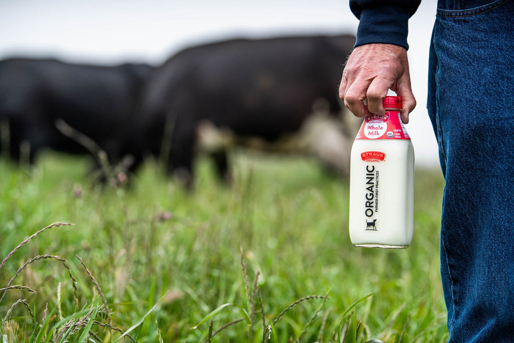 hand holding glass bottle of straus whole milk