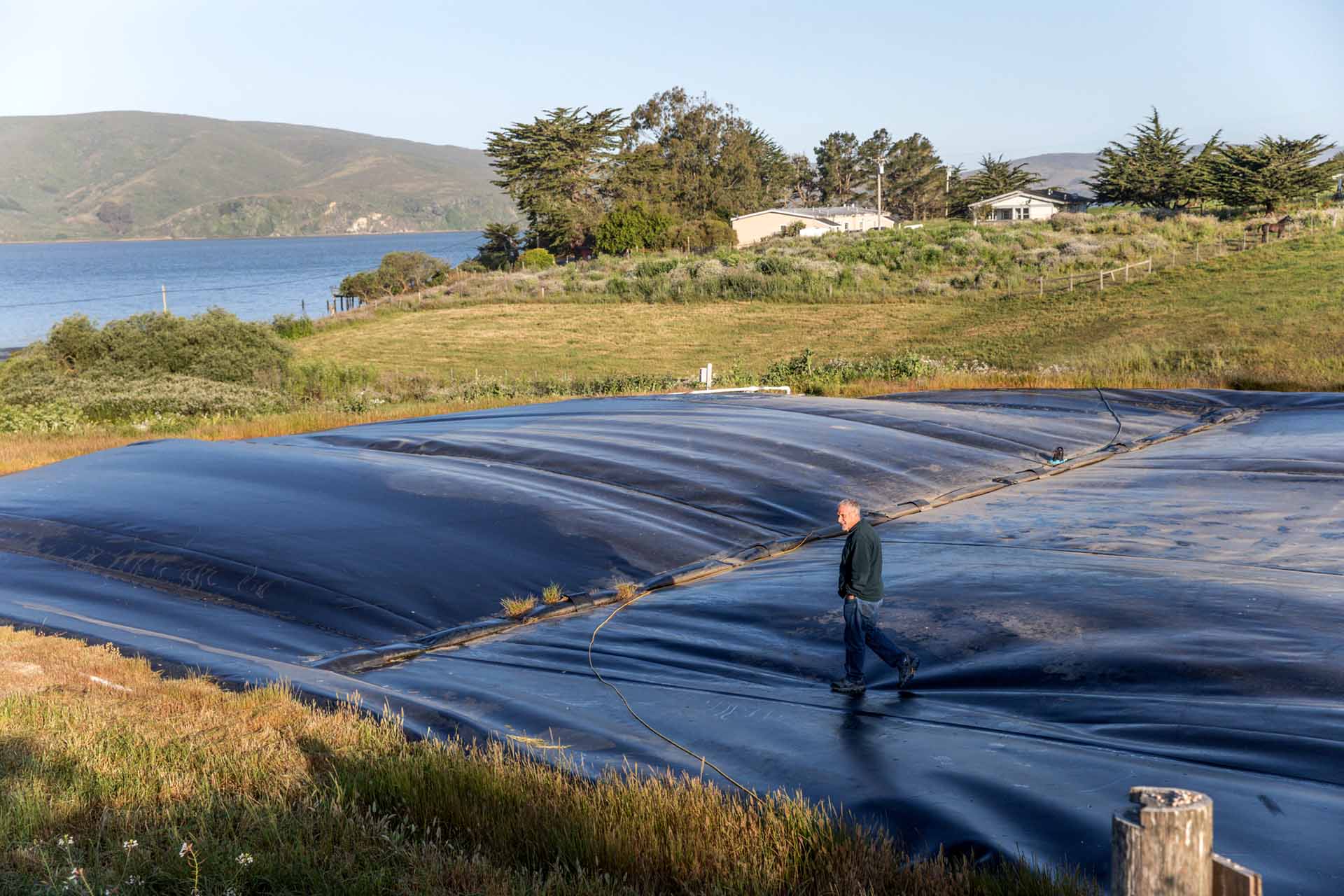 albert straus walking across tarp for methane digester