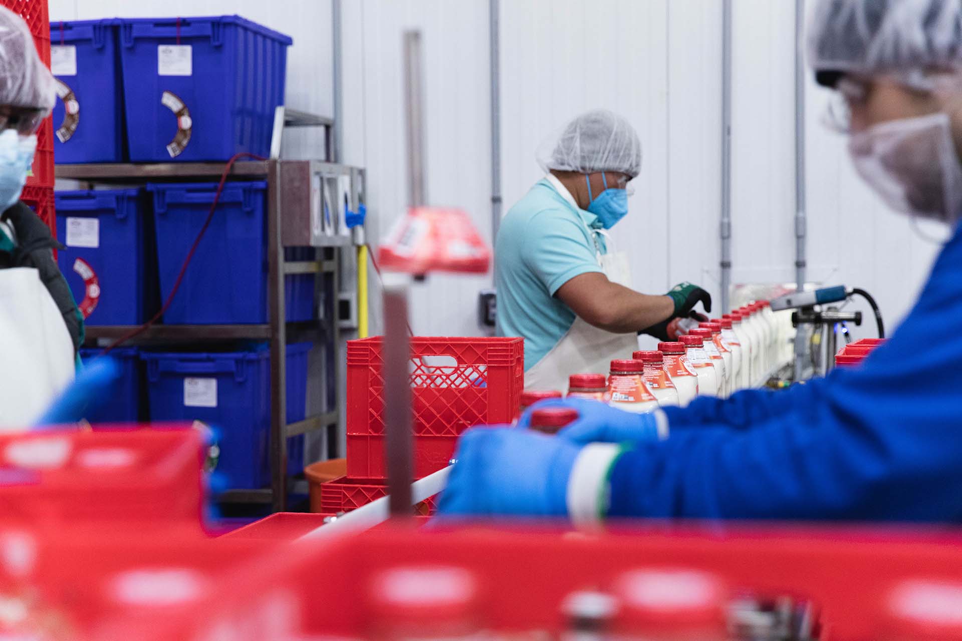 straus family creamery workers bottling milk