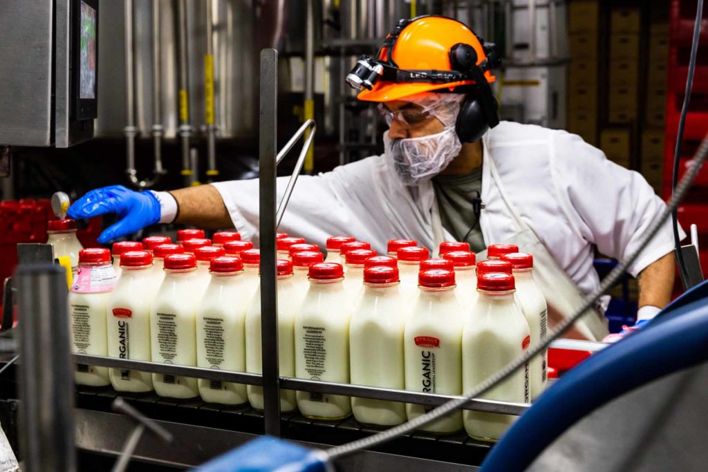 straus employee bottling milk