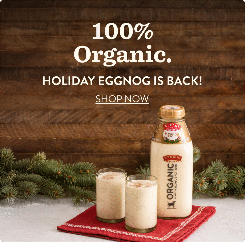 egg nog banner