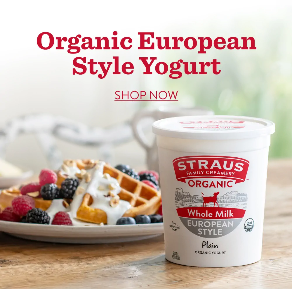 yogurt block w text