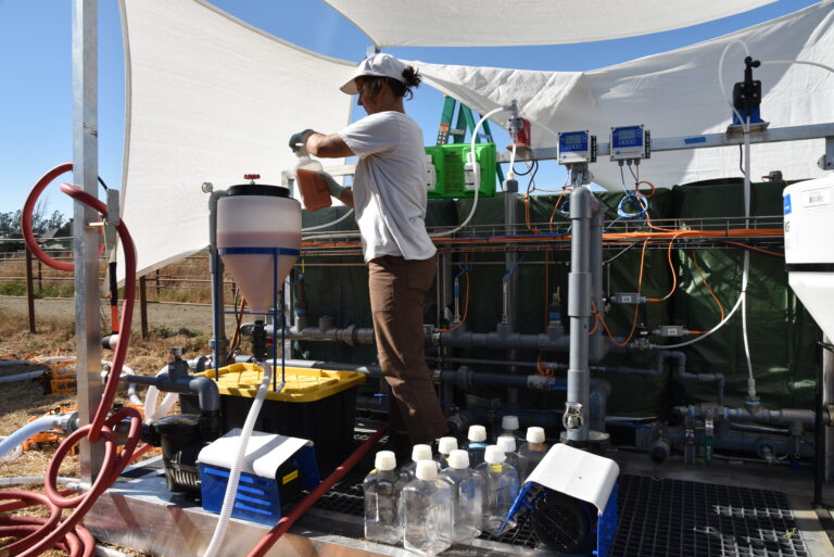 A person wearing a hat, gloves, and work clothes stands at an outdoor research station at Correia Family Dairy, pouring a reddish liquid into a large funnel-shaped container connected to hoses and pipes. Several plastic sample bottles sit on the ground nearby, and shade cloths overhead provide cover. The setup includes pumps, tubing, and monitoring devices, suggesting a water, soil, or nutrient treatment experiment.
