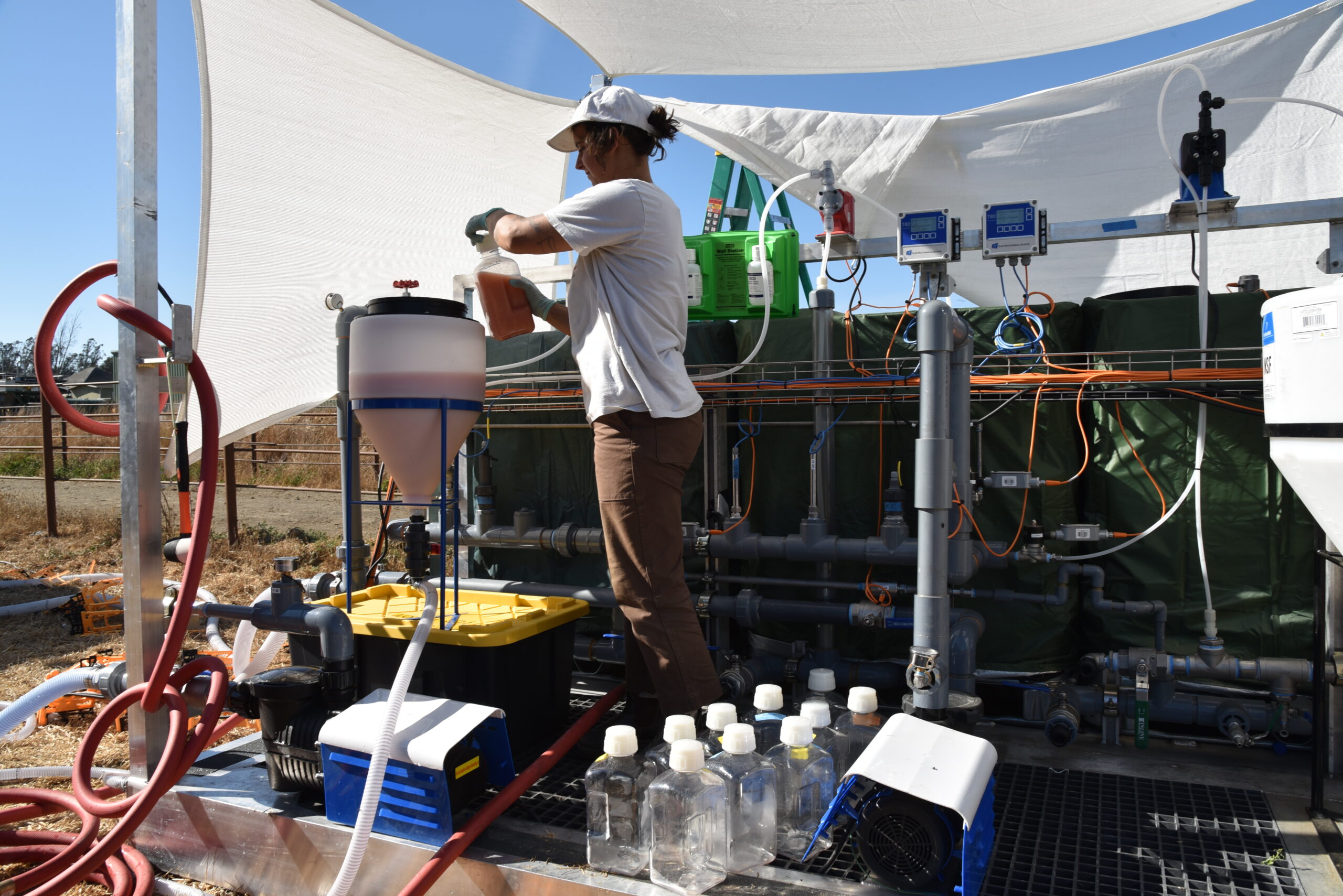 A person wearing a hat, gloves, and work clothes stands at an outdoor research station at Correia Family Dairy, pouring a reddish liquid into a large funnel-shaped container connected to hoses and pipes. Several plastic sample bottles sit on the ground nearby, and shade cloths overhead provide cover. The setup includes pumps, tubing, and monitoring devices, suggesting a water, soil, or nutrient treatment experiment.