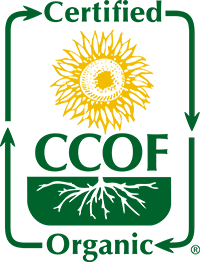 organic cream top milk