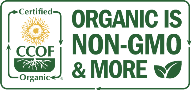 organic maple swirl ice cream