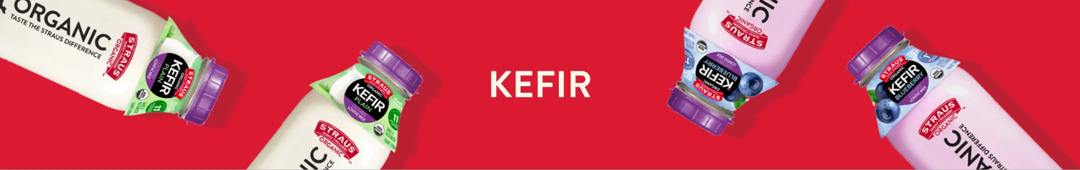 organic maple swirl ice cream