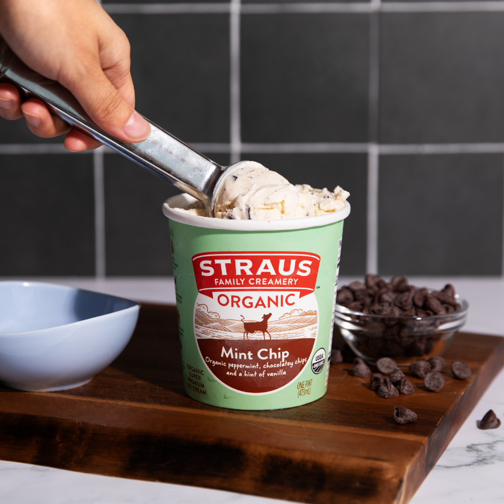 organic mint chip ice cream