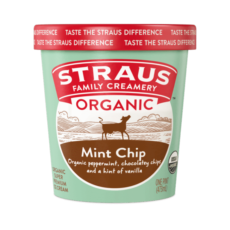 organic mint chip ice cream