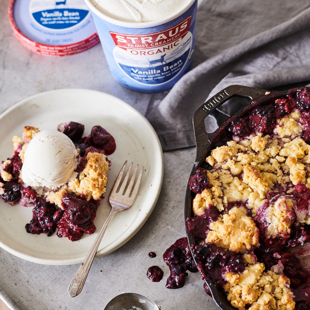 organic vanilla bean ice cream