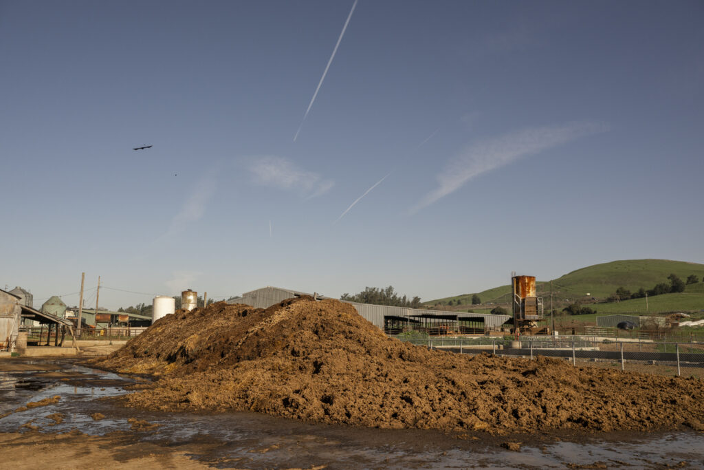 Large composted manure pile at a dairy farm with barns and green hills in the background.