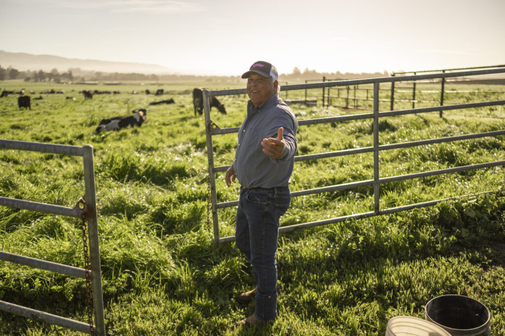 Eugene Camozzi opening a metal gate leading into a pasture with cows grazing in the background