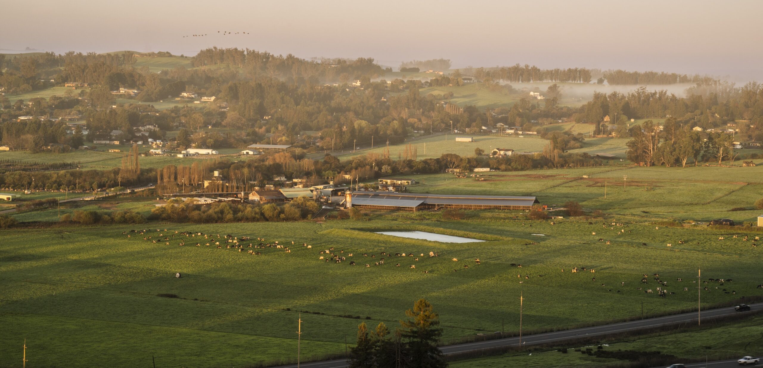 Organic farming,Dairy farms,Family farms
