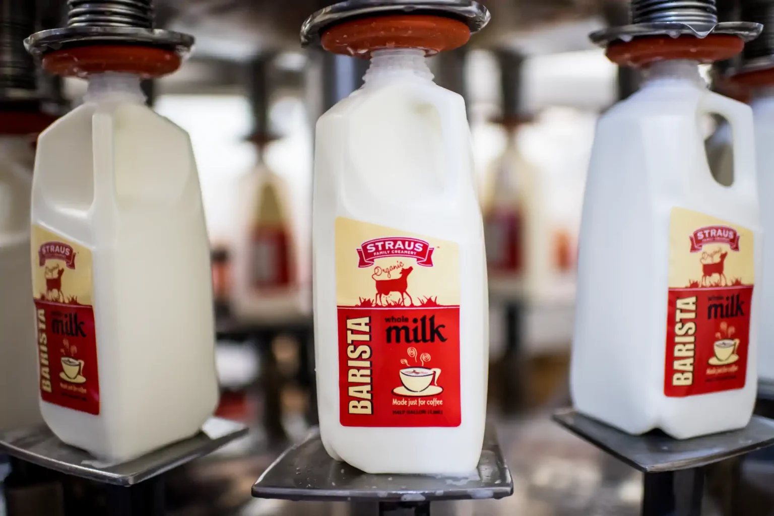 17 10 17 straus creamery 10 2