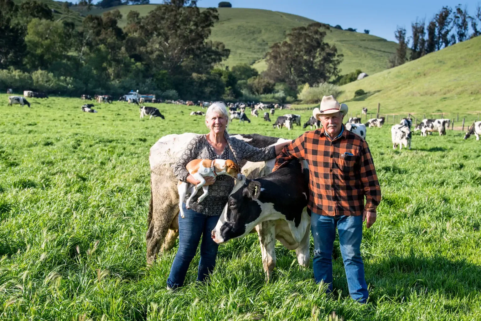 18 04 25 straus 1535