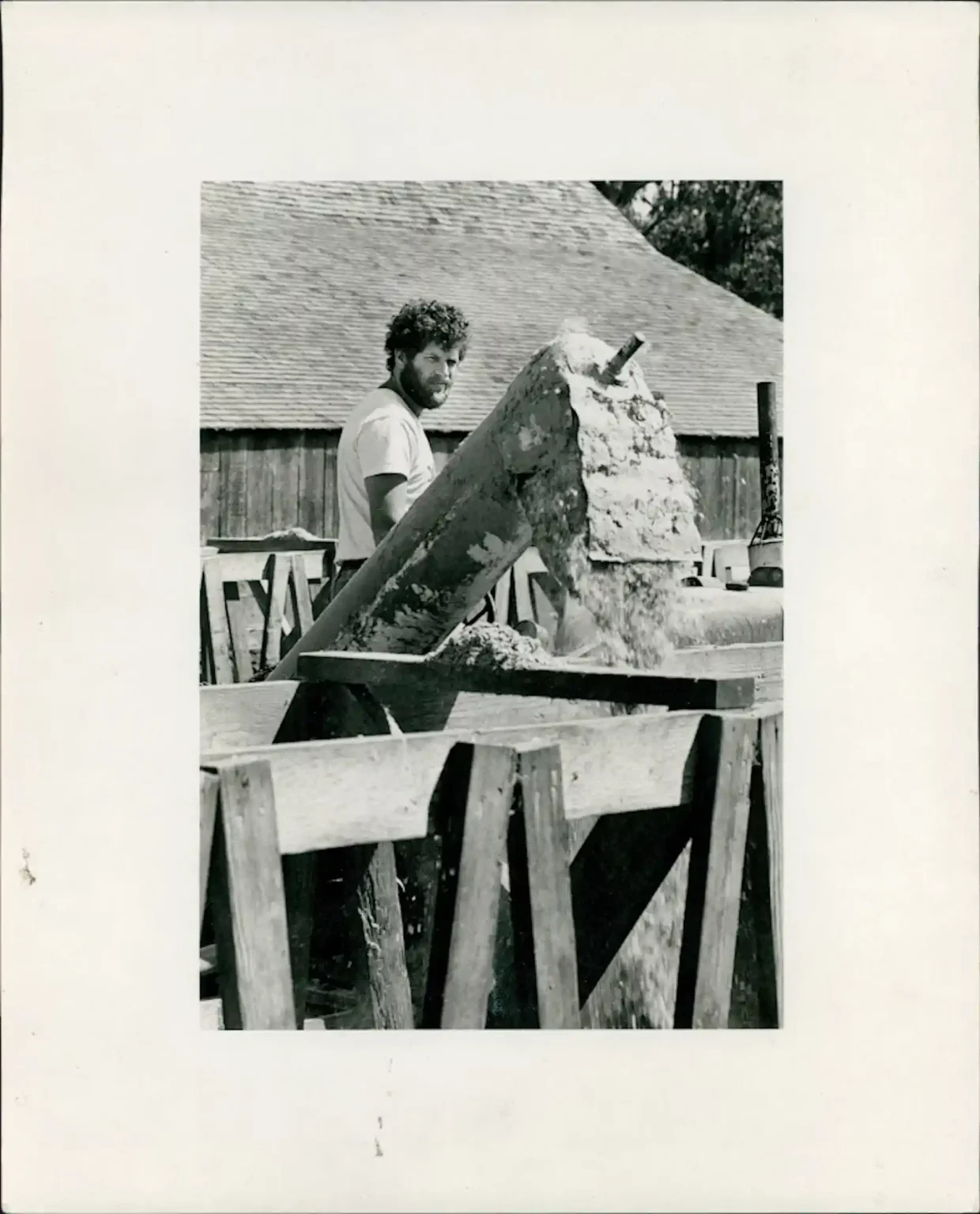 albert straus on straus dairy farm late 70s early80s